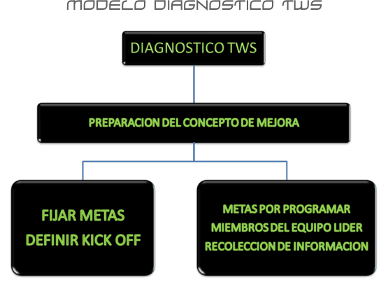 Diagnostico TWS