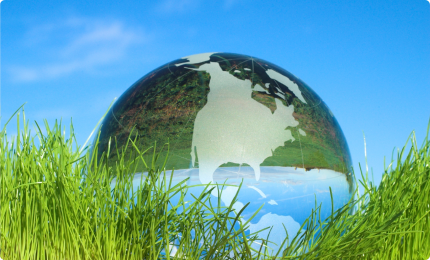 Medio ambiente